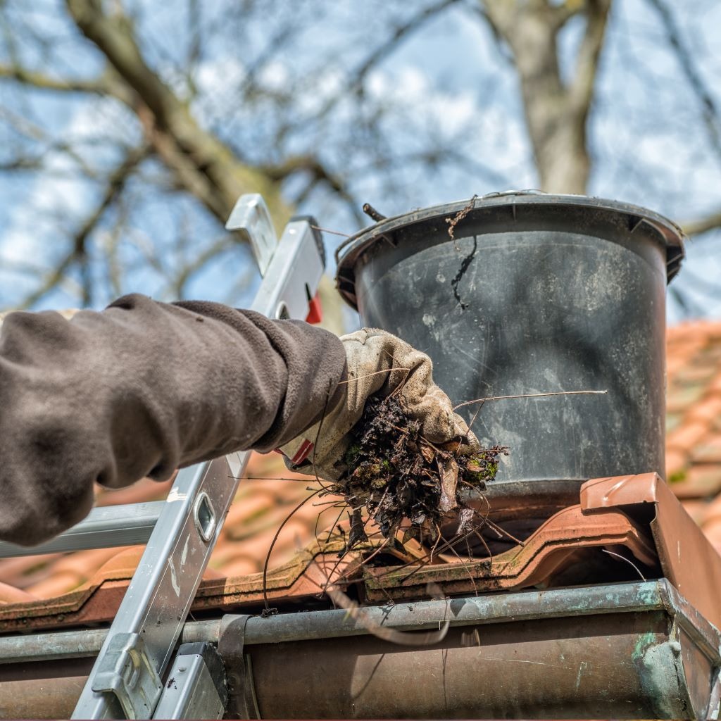 Gutter Cleaning