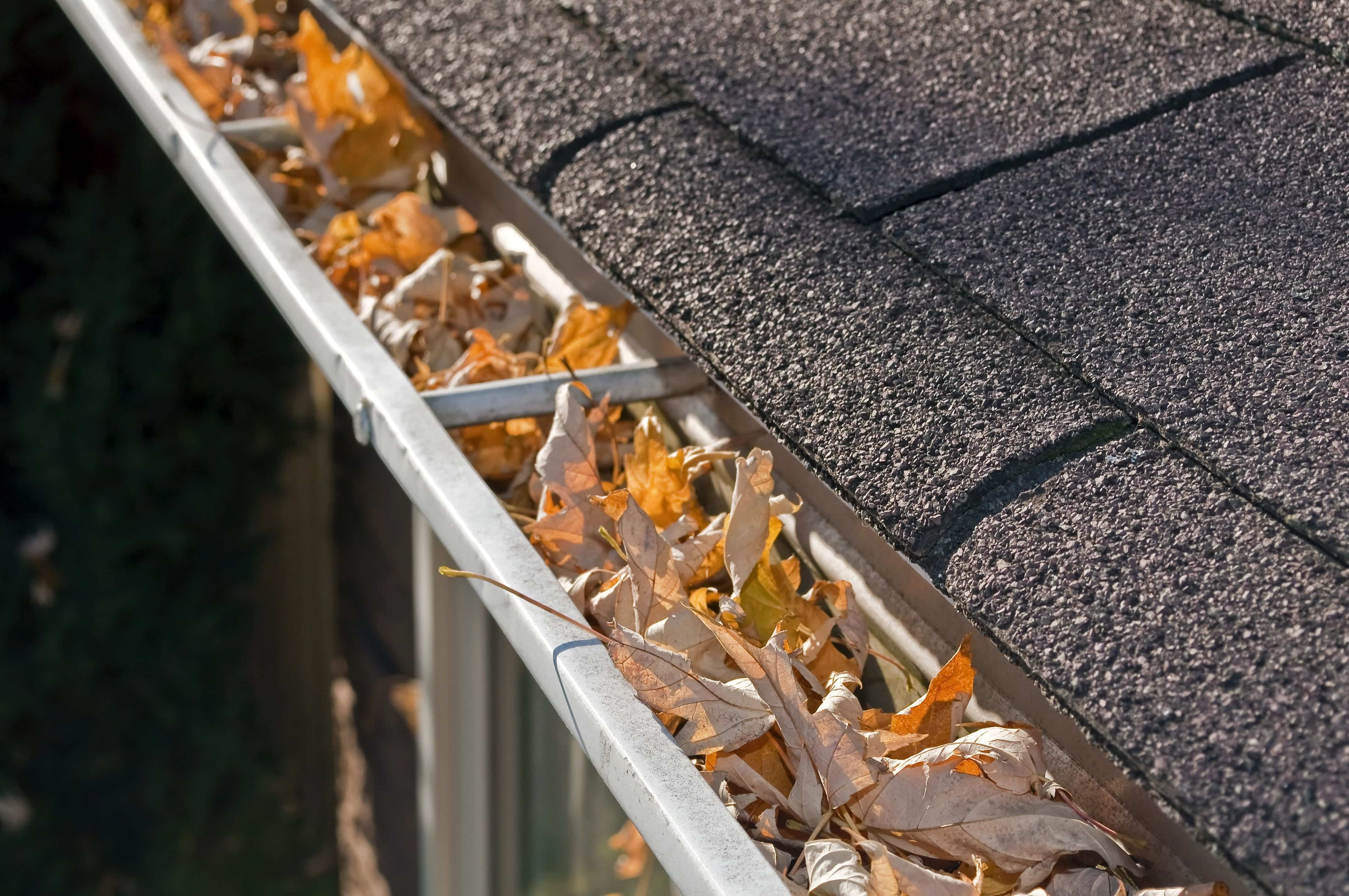 Clogged Residential Gutter