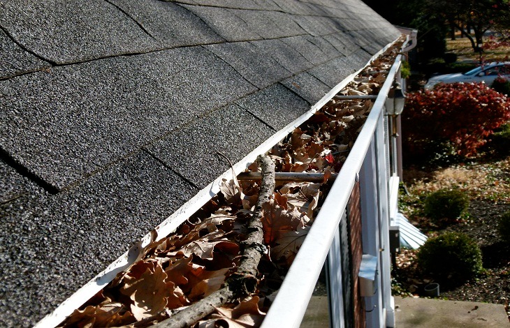 Gutter cleaning