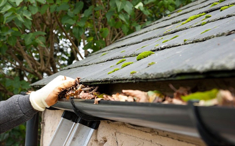 Gutter cleaning