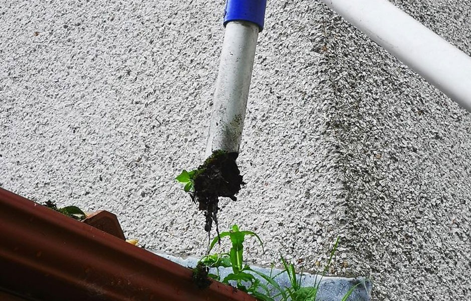 Gutter Cleaning
