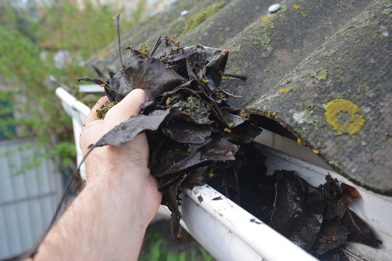 Gutter Cleaning