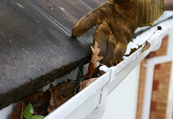 Gutter Cleaning Services
