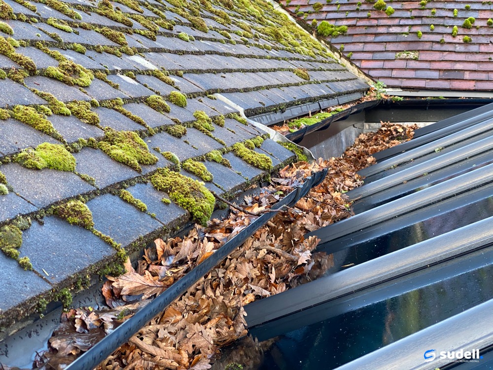 Professional Gutter Cleaning