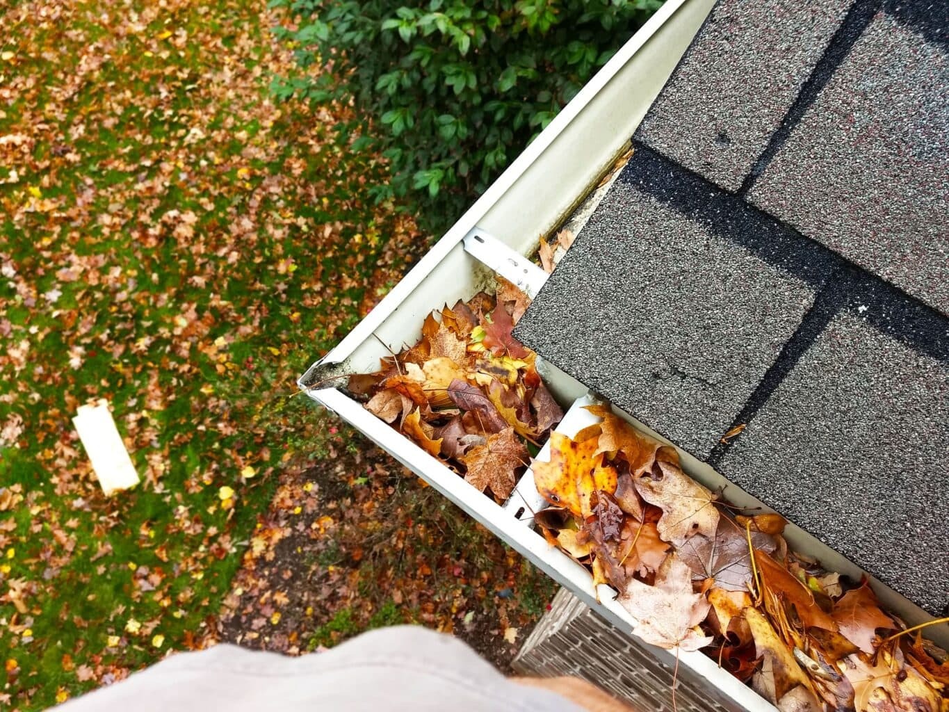 Gutter Cleaning Services