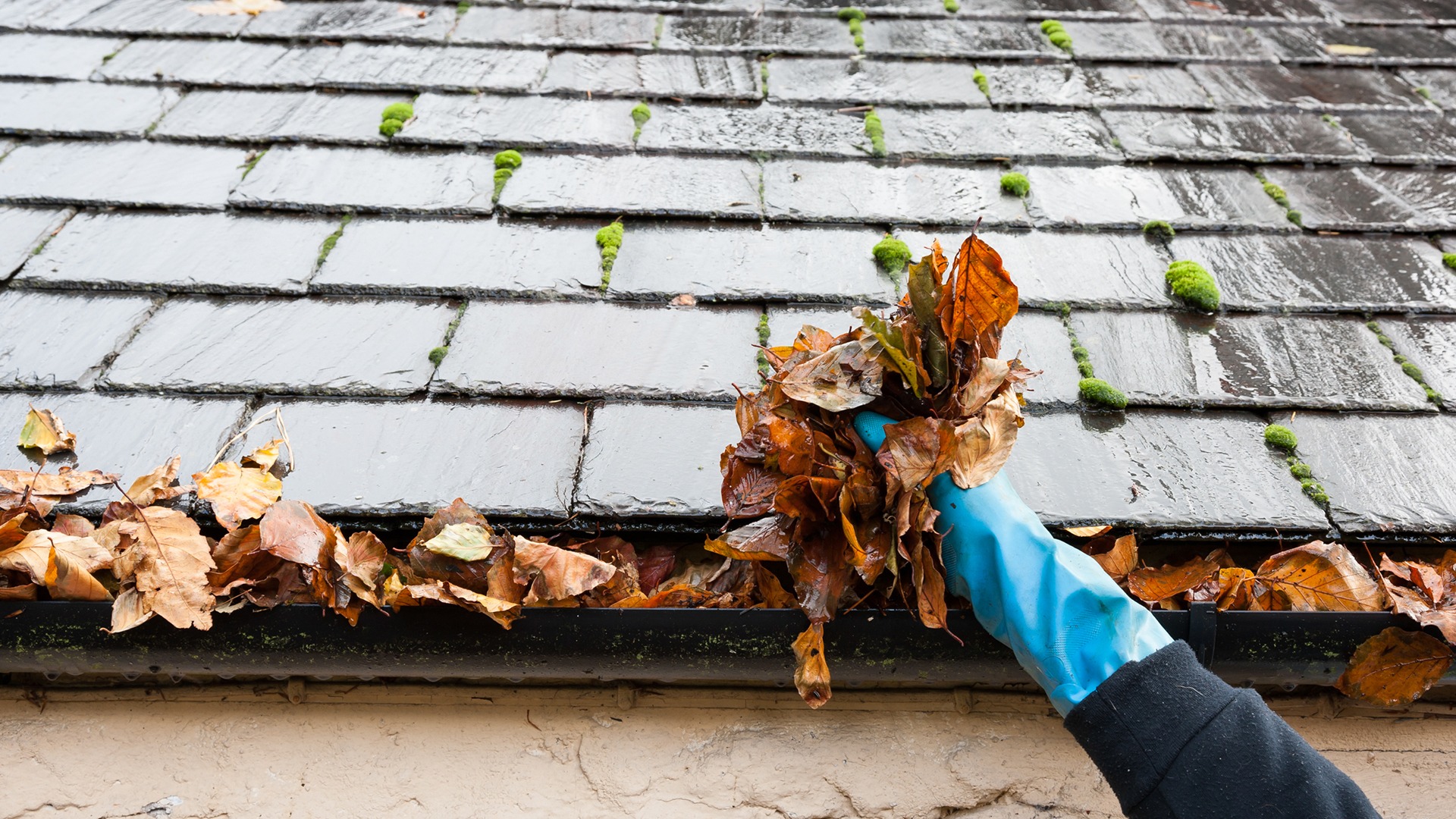Gutter Cleaning Services