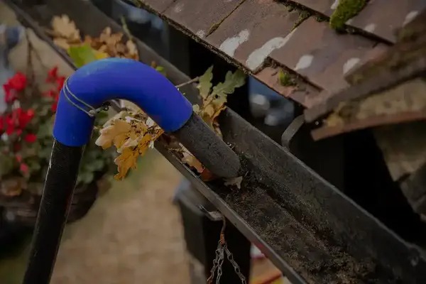 Gutter Cleaning Services