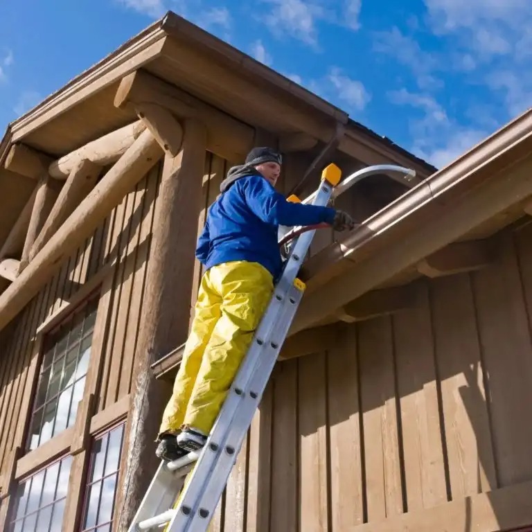 Gutter Cleaning Services