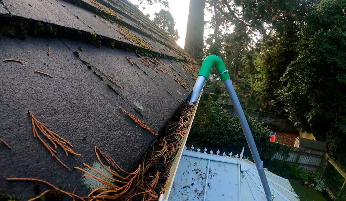 Gutter Cleaning Services