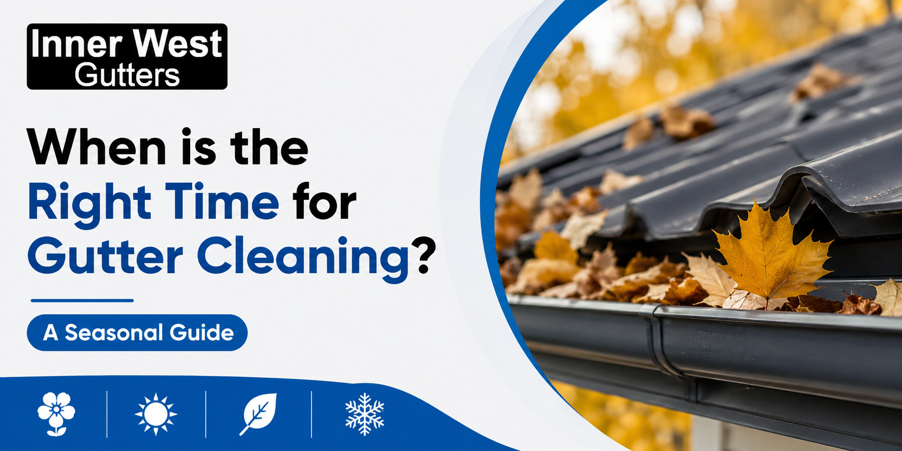 Gutter Cleaning