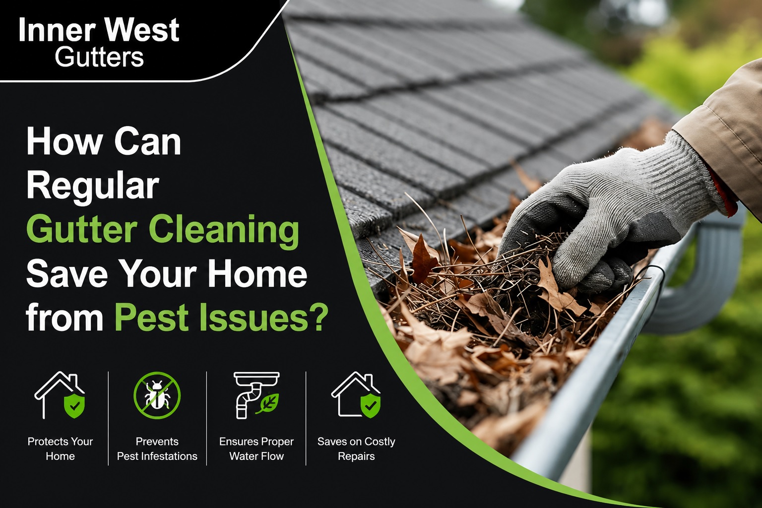 Gutter Cleaning