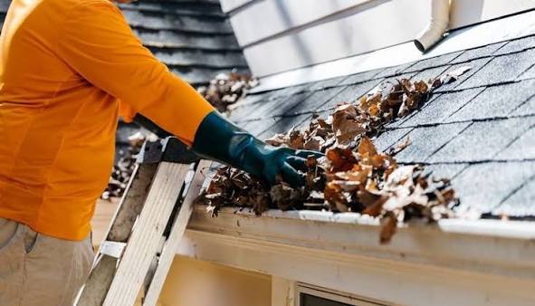 Gutter Cleaners
